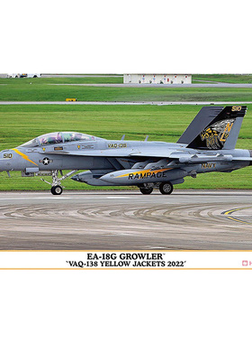 天易模型 长谷川拼装模型 1/72  EA-18G VAQ-138  02461