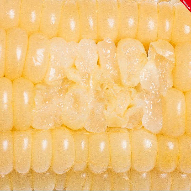 网友分享在meiguo.com的图片