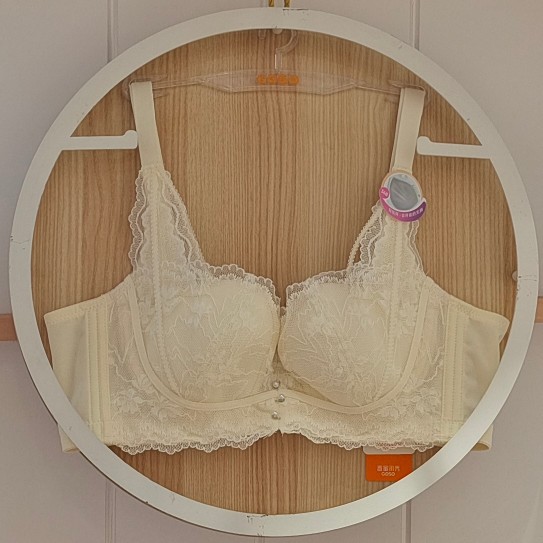 薄款香蜜闺秀软钢圈大胸显小文胸