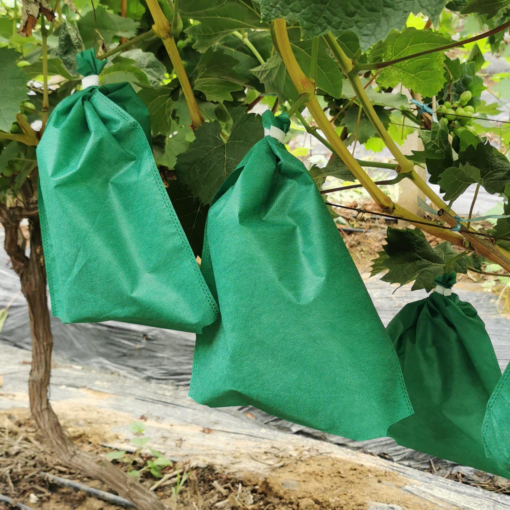 葡萄套袋阳光玫瑰专用墨绿色无纺布防鸟保护袋包装袋水果套袋定制