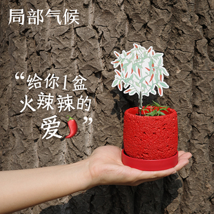 love创意种植盆栽表白礼物 局部气候小米辣show