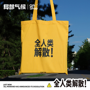 局部气候全人类解散布包女大学生上课可斜挎轻奢通勤秋季包包