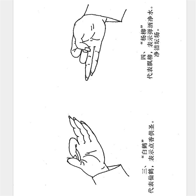 速发道家正一派手诀步罡图解道门功法秘法秘传绝技道法文化印刷纸