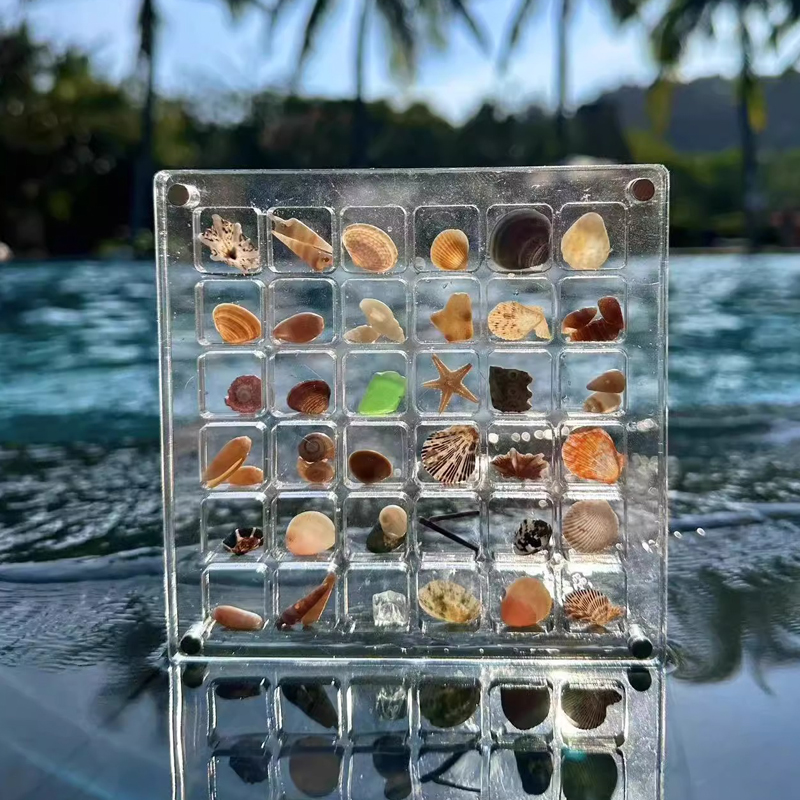 速发贝壳收石盒亚克力透明藏头海边标本相框展示收纳昆虫收集盒子