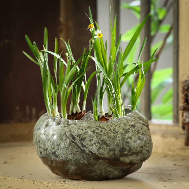 速发铜钱草水培花盆水养器仿皿石头盆景绿萝碗莲睡莲个性创无陶瓷