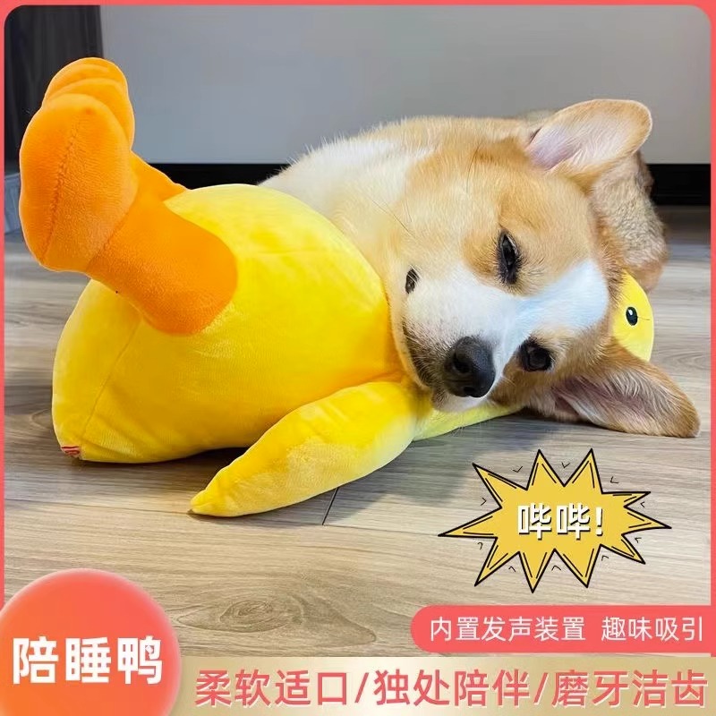 速发玩具磨用耐咬绳结金毛小中大型犬泰迪幼犬玩解闷狗具牙品