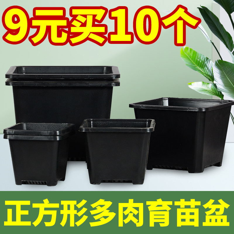 速发小黑方形韩式家用多肉育苗扦插方盆大白方塑料景天花盆养花种