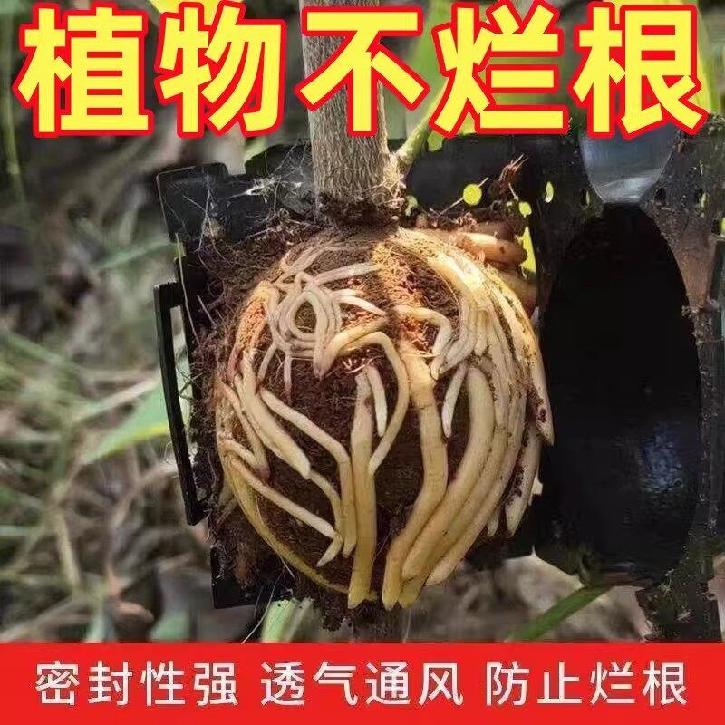 速发植物高压繁殖盒生根器花卉果树嫁接盒控根器高空压条扦插生根