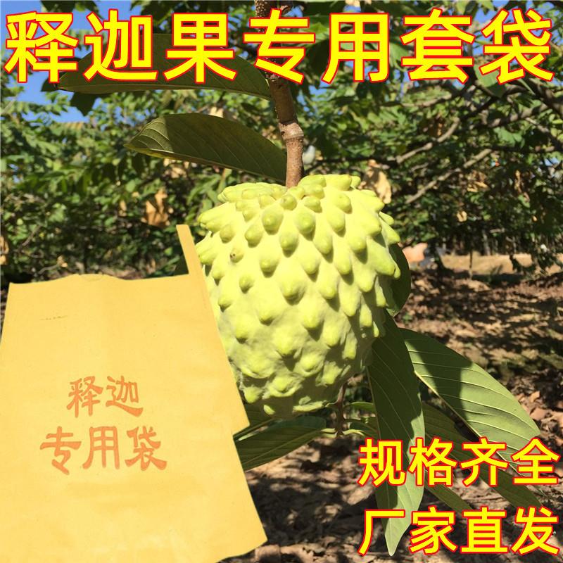速发释迦果套袋专用袋番迦枝防梨袋佛头果防鸟袋石榴凤虫释荔莲雾