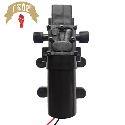 速发2泵0高压直流隔膜泵带2V24V48V自吸电动洗车四分水11压力开关