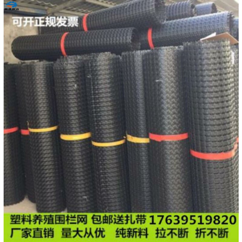 速发鸽子地网养鸡塑网料栅网鸽笼漏粪小鸡养殖场防护隔网网鸽棚离