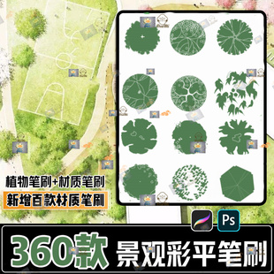 园林景观平面树PS笔刷abr素材PS平面植物画笔彩平图立面画笔素材