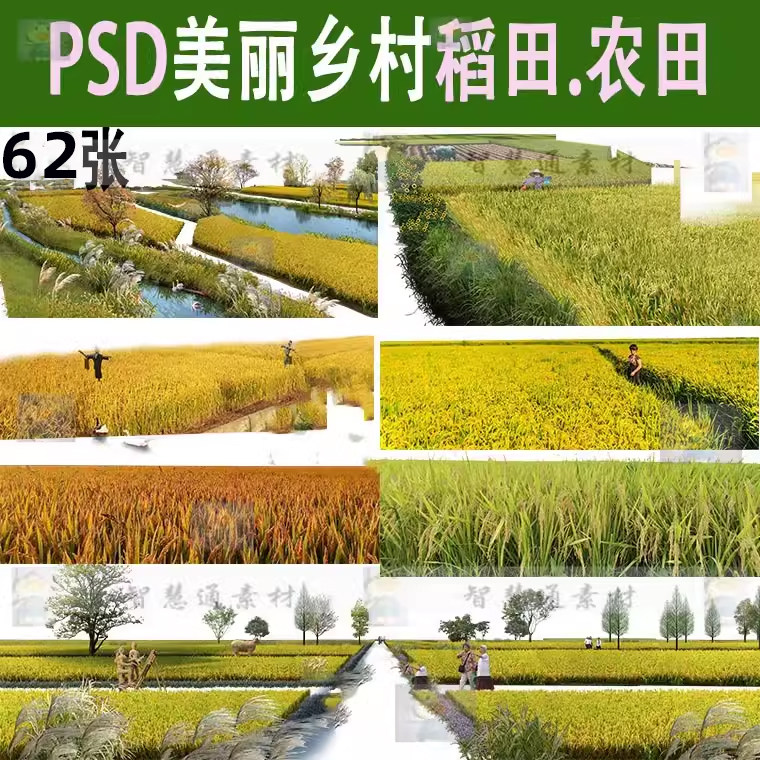 ps田园风光稻田农田景观规划鸟瞰效果图田野psd分层素材