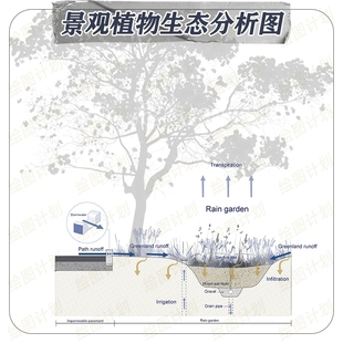 景观分析图雨水花园设计排水系统大样图剖面图psd 生态环境分析图