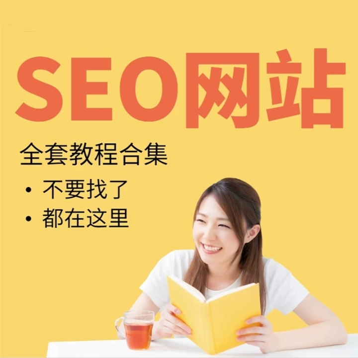 SEO优化视频教程教学培训课程在线自学零基础入门到精通教程