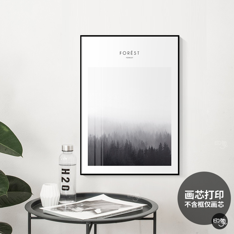 印象视觉工业风黑白风景摄影玄关装饰画芯打印简约现代客厅挂画心