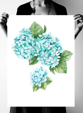 北欧水彩绣球花画芯打印现代简约挂画心艺术喷绘画布微喷照片定制