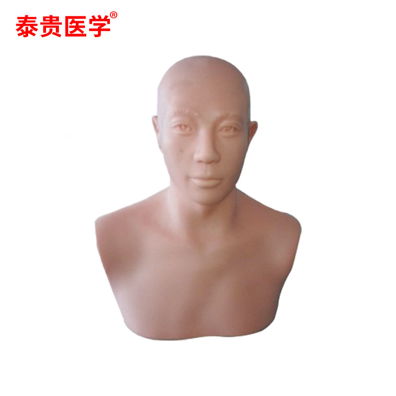 泰贵医学 头部针灸训练模型（隐性标记穴位） TG-TBJ