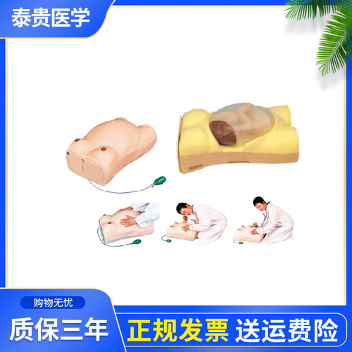 泰贵医学TG/FW2高级电脑孕妇检查模型 产检模型 产妇检查模拟模型 妇科检查模型