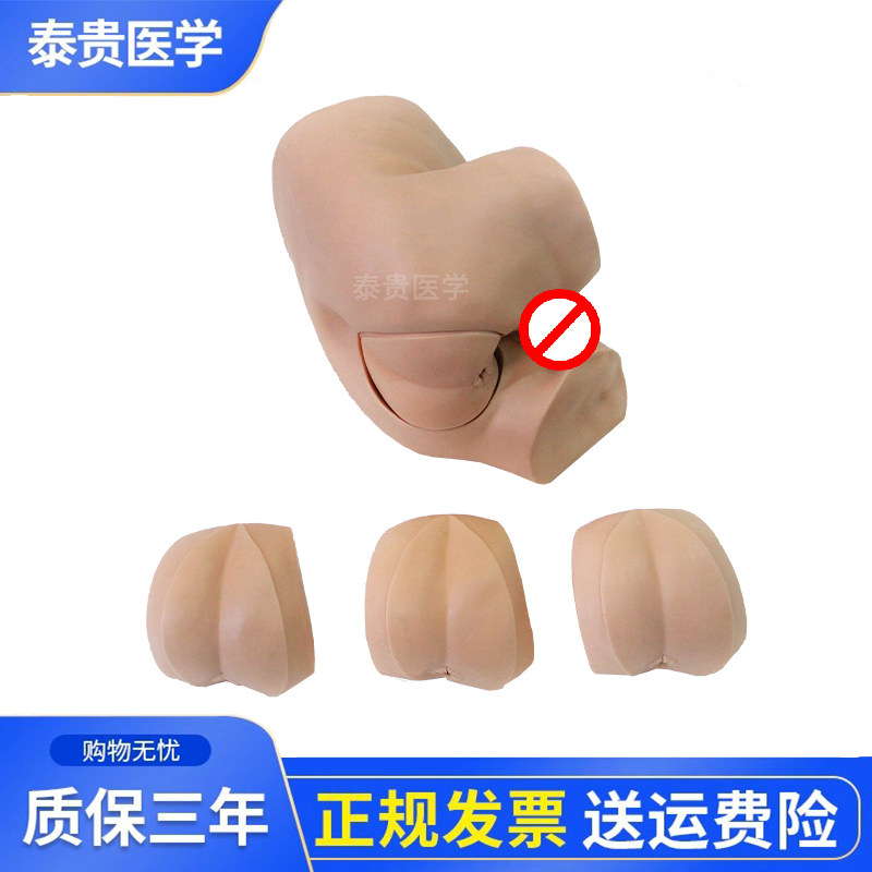 假人体泰贵医学人体模具检查模型