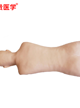 泰贵医学 多功能中医技能训练半身模型（隐性标记穴位） TG-ZCPA