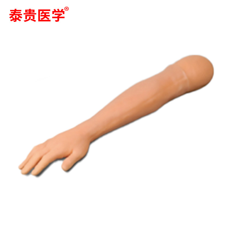 泰贵医学 手臂针刺训练模型（隐性标记穴位） TG-ZC