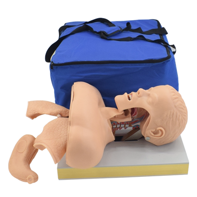 高级人体气管插管训练模型口鼻