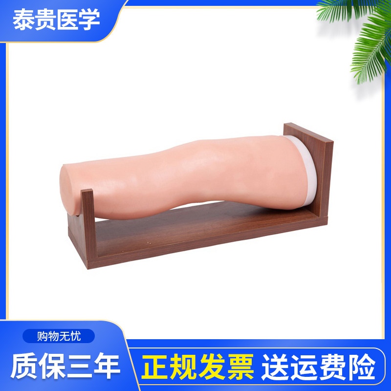 膝关节腔内注射模型泰贵医学