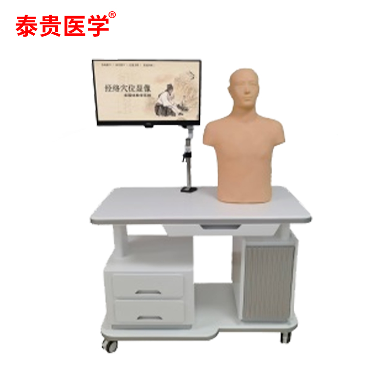 泰贵医学 经络穴位显像多媒体教学系统（躯干版） TG-JX60