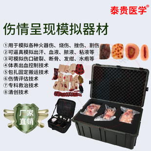 泰贵医学 伤情呈现模拟器材军D卫勤战救训练模型创伤TG/H111-95