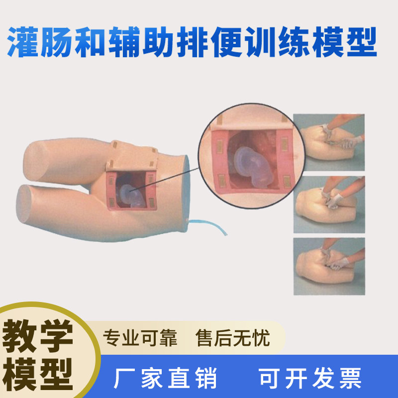 灌肠辅助排便训练模型