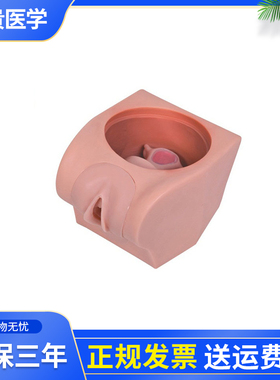 泰贵医学TG/FT33B计划生育教学模型妇产科避孕女性生殖器解剖结构练习培训假人体模具