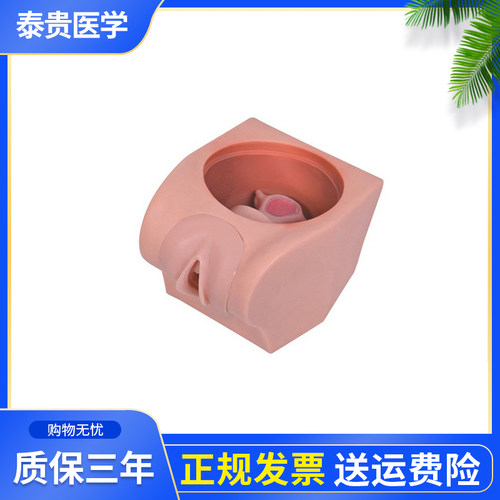 计划生育教学模泰贵医学