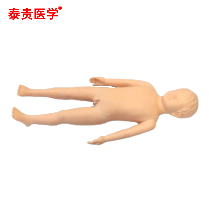 泰贵医学 儿童针灸模拟人(带隐性标志) TG-EZJ10A