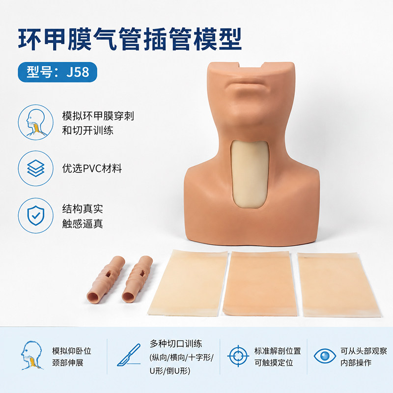 高级环甲膜穿刺及气管切开插管训练模型环状软骨气管切开术模拟人