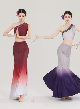 傣族舞蹈演出服练功裙表演服女傣族舞裙孔雀舞鱼尾半身裙艺考服装
