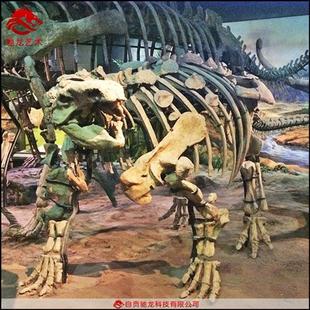 仿真甲龙骨架化石大型灭绝生物骨架模型定制动物骨骼展示模型