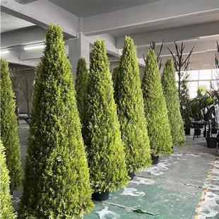 仿真锥形树圣诞树杉树落地盆栽室内盆景室内外新型柱状松树摆件