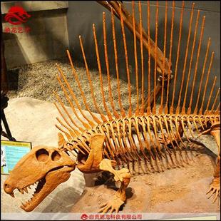 仿真异齿龙基龙骨架化石动物骨骼科普模型定制博物馆美陈展品