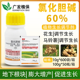 莱科硕放 60%氯化胆碱马铃薯花生根块膨大增产植物生长调节剂农药