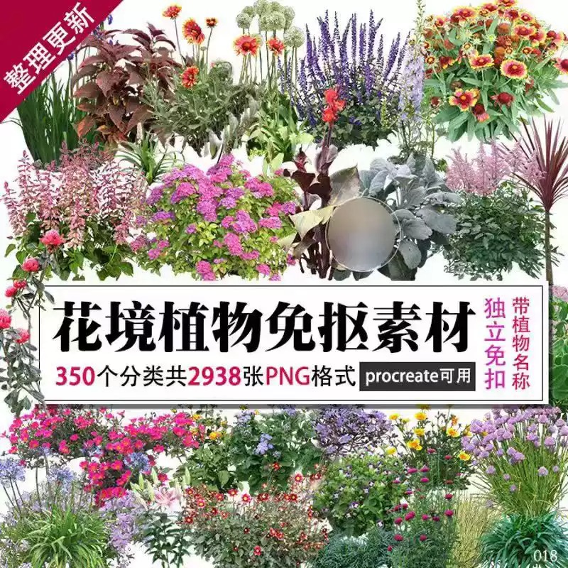 高清鲜花卉花境花灌木PNG免抠分层PSD植物图片素材procreate可用