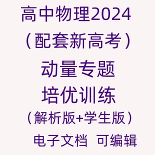 2024高中物理动量专题专项训练电子版练习新高考备课辅导资料