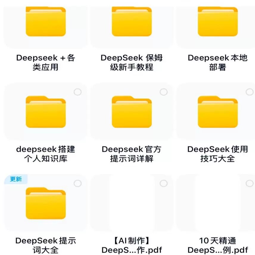 国产AI大模型 DeepSeek 指令教程合集 从入门到精通 视频 文档PDF