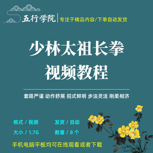 少林太祖长拳影片教程自学少林功夫