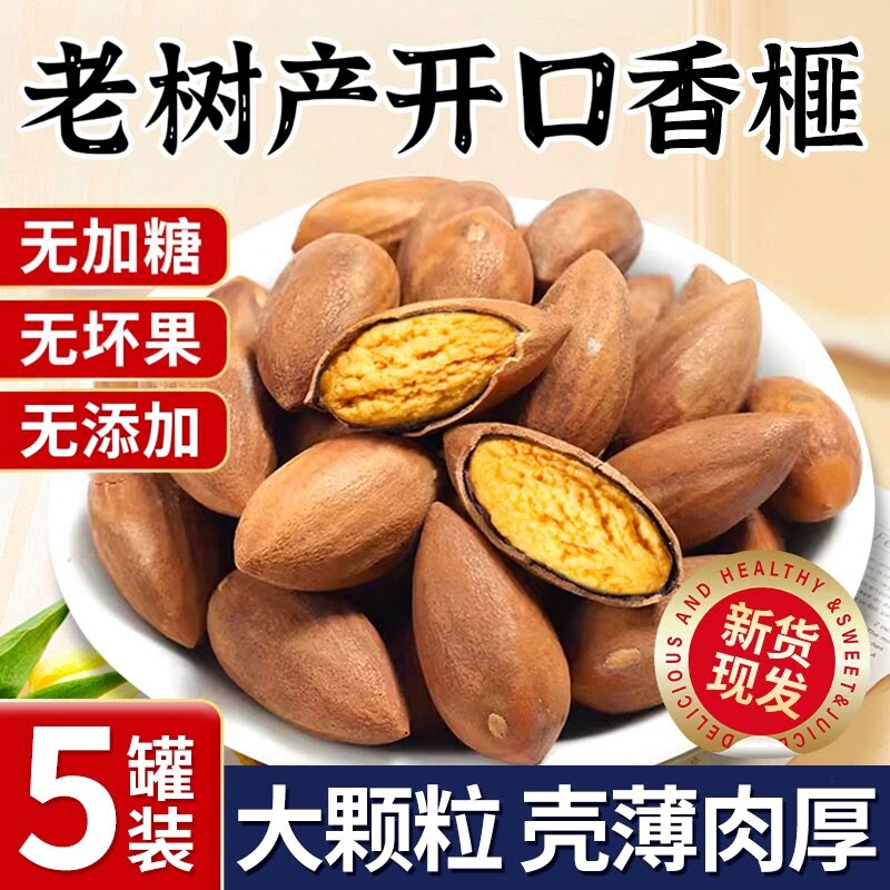 浙江诸暨特产老树开口香榧精选新货香榧子特大开口好剥官方旗舰店