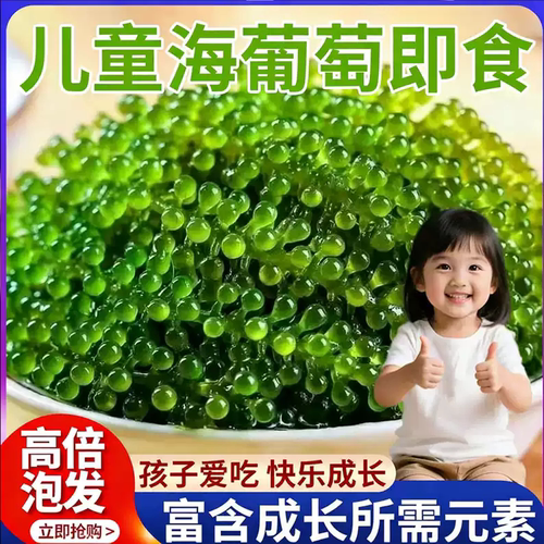 儿童即食海葡萄官方旗舰店盐渍海葡萄火锅食材商用批发绿色鱼子酱