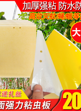 黄板双面粘虫板诱虫板纸贴黄色灭小飞虫沾果蝇诱捕器粘板果园大棚