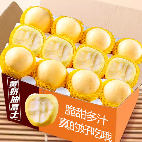 山东烟台黄金奶油富士苹果新鲜水果当季整箱现摘冰糖心包邮旗舰店