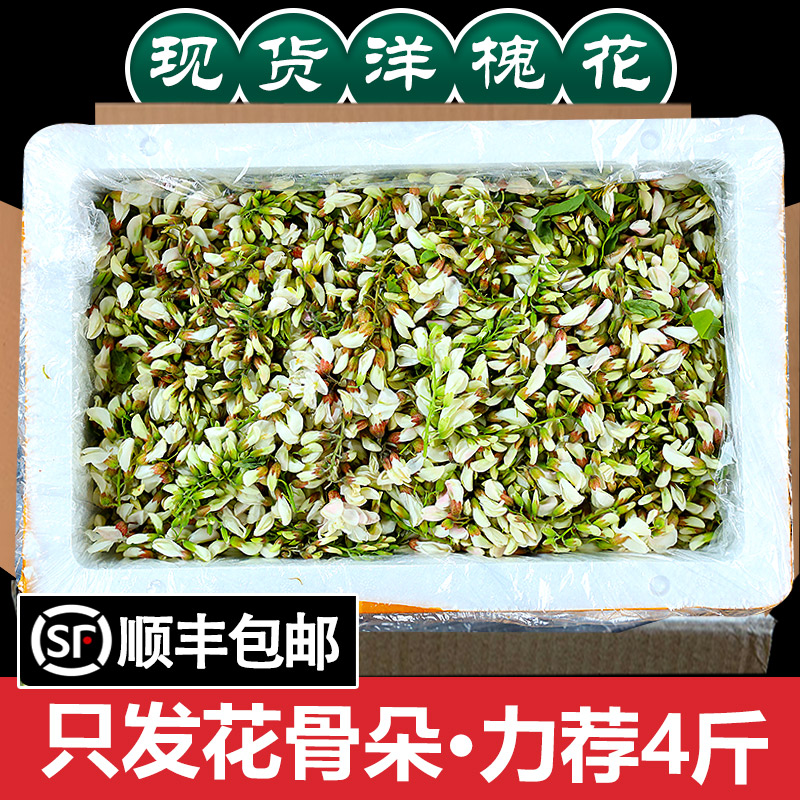 2024现摘食用新鲜野生洋槐花4斤野菜蔬菜当季槐花花骨朵槐米非干5 水产肉类/新鲜蔬果/熟食 其它 原图主图