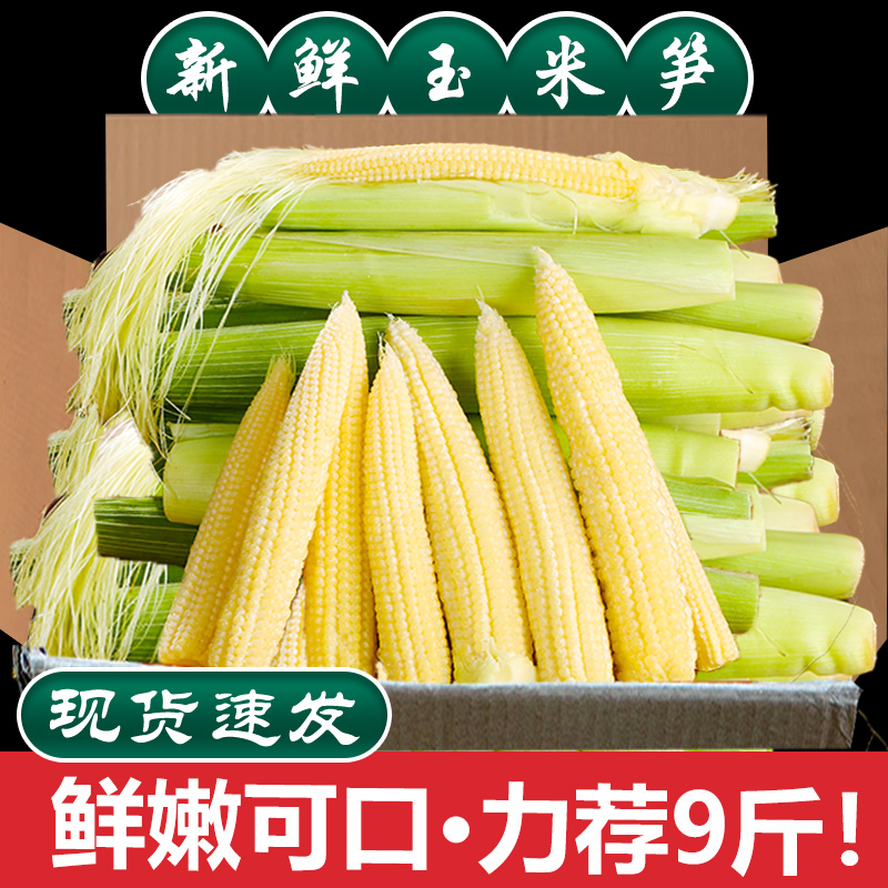 新鲜玉米笋现摘，鲜嫩多汁！